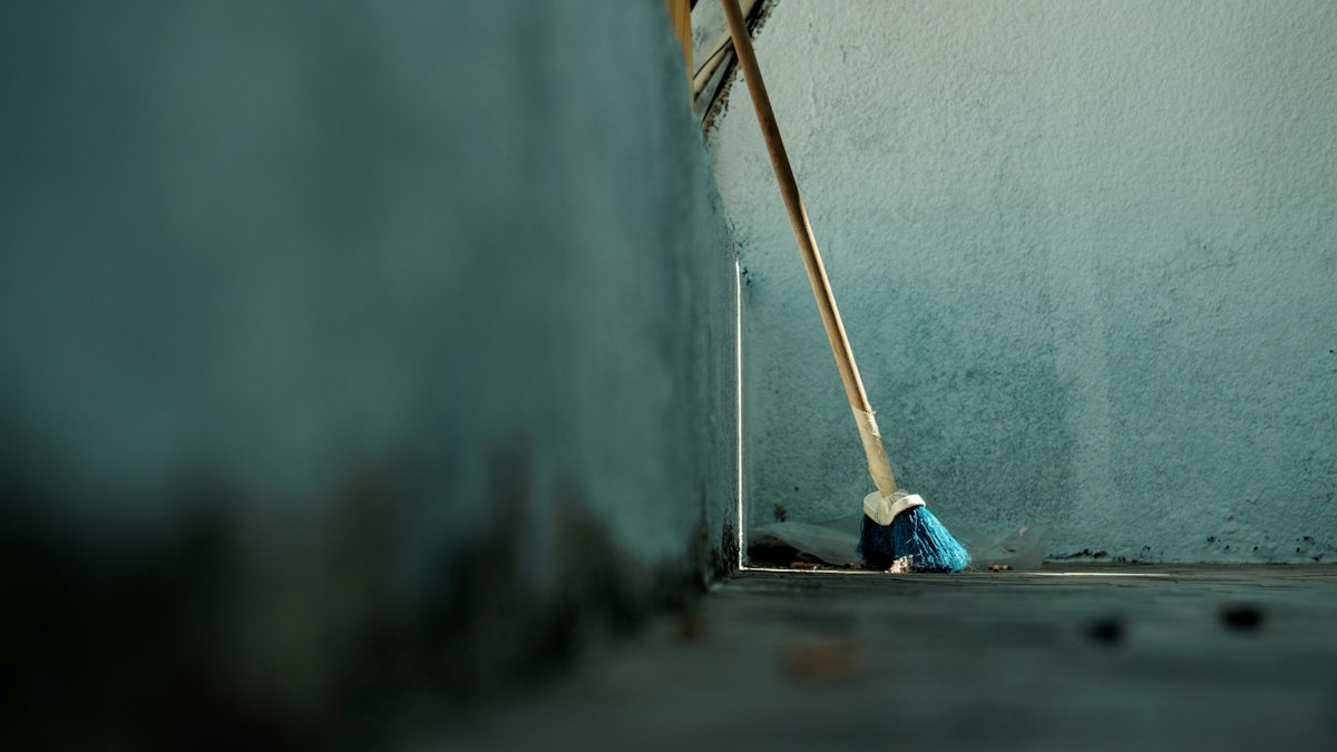 Ceniza seca en Ponent: por qué aquí vuela más y el olor se fija distinto